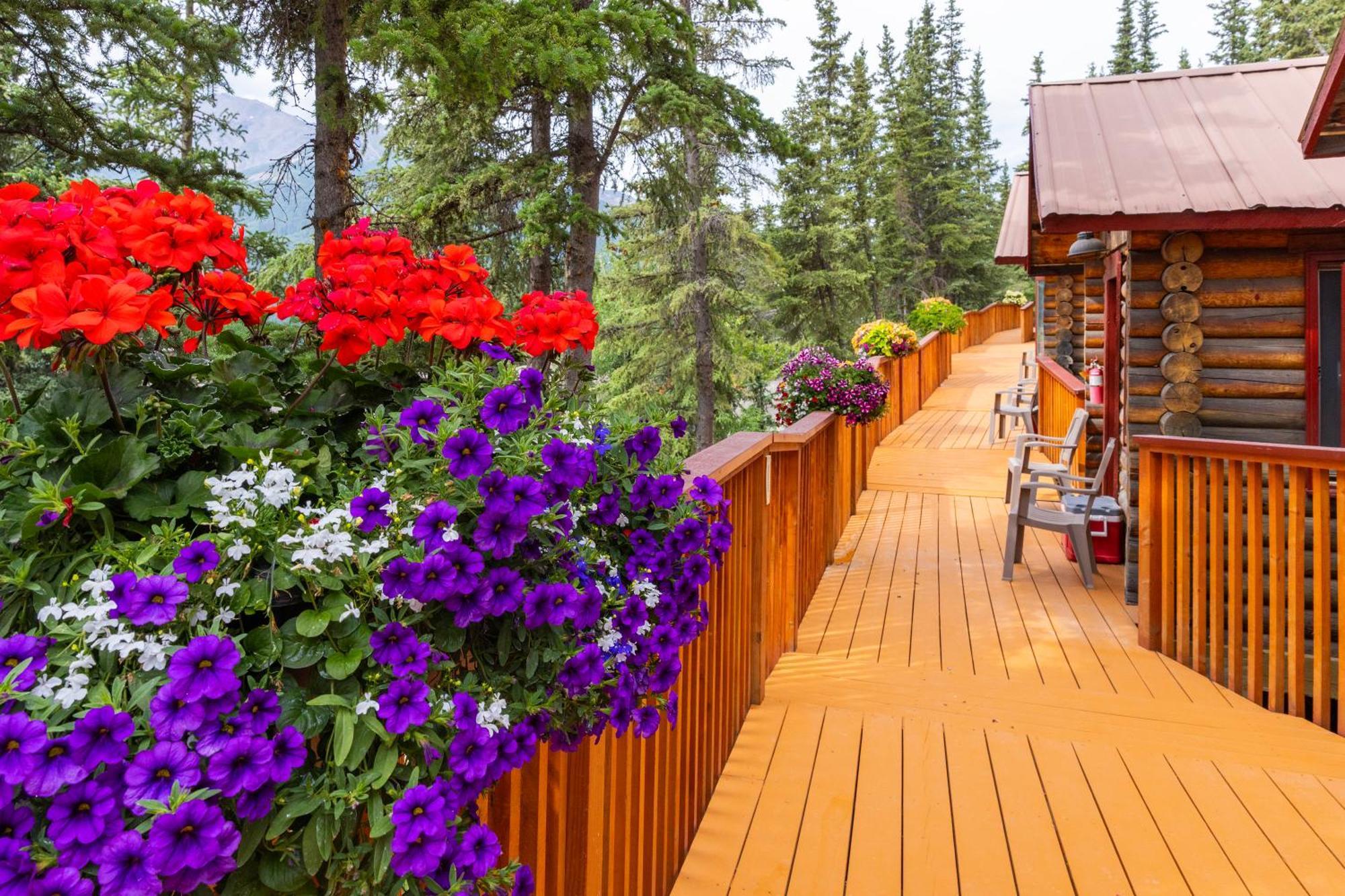 Denali Crow'S Nest Cabins Denali Park Exterior photo